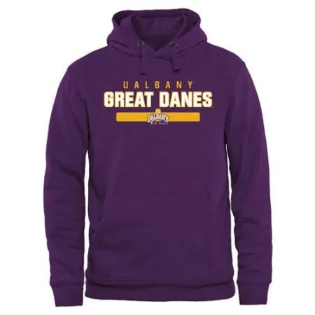 Albany Great Danes Team Strong Pullover Hoodie Purple